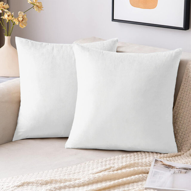 Velvet Scatter Cushion Covers - Soft Plush Decorative Covers Set of 2 for Sofa & Bed