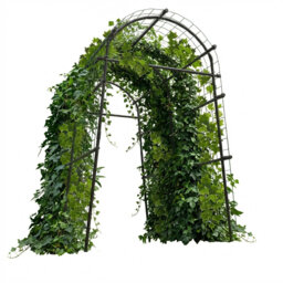 228.6cm H x 114.3cm W Iron Arched