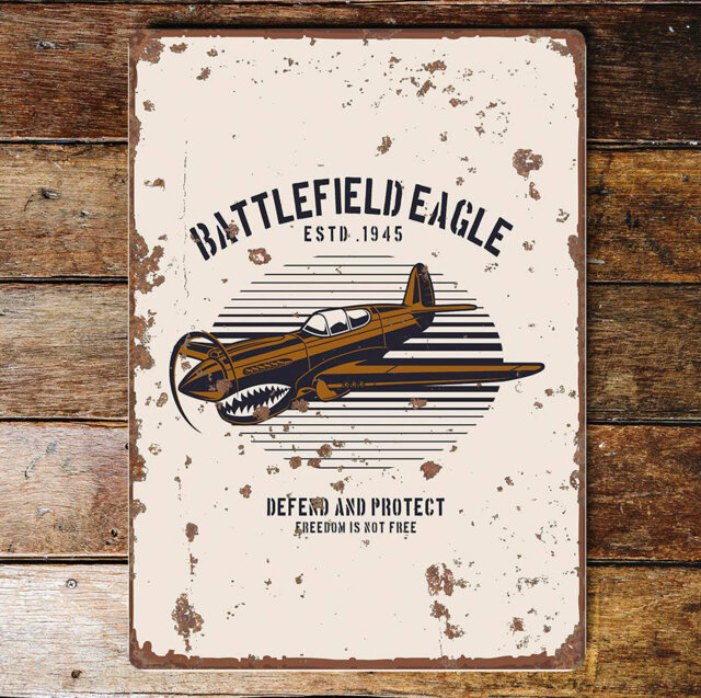 Battlefield Eagle Plane Metal Wall DÃ©cor