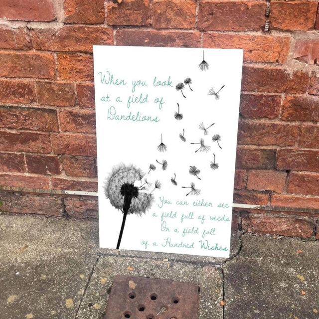 Dandelion Weeds of Hundred Wishes Wall Décor