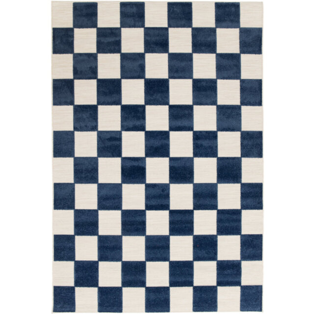 Aurelio Chequered Machine Woven Relief Indoor Outdoor Navy Area Rug