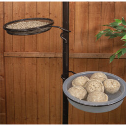 St Helens Bird Care Station With Feeder and Bath