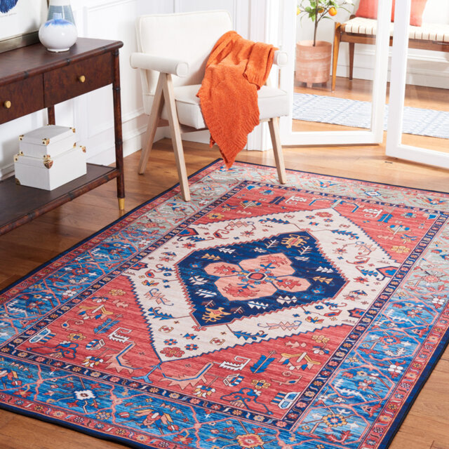 Tucson Vintage Look Machine Washable Non-Slip Area Rug in Black & Grey