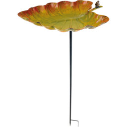 Aviara freestanding Bird  Bath and Feeder