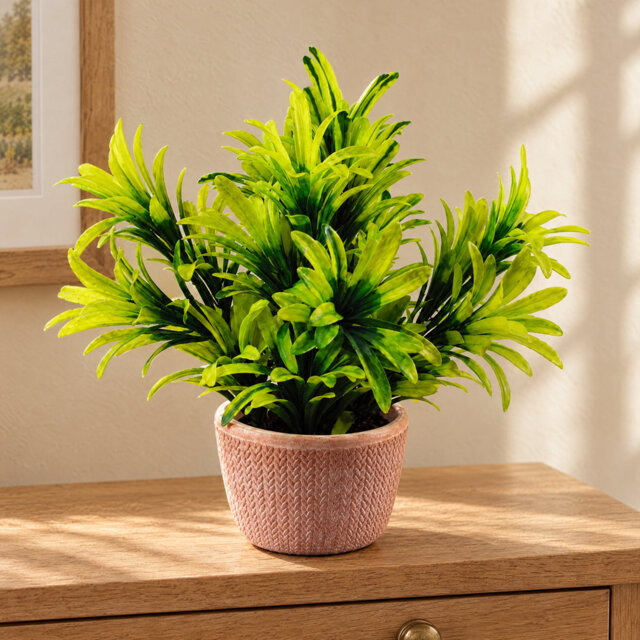 22 cm H Faux Foliage and evergreen Plant in Terracotta Planter