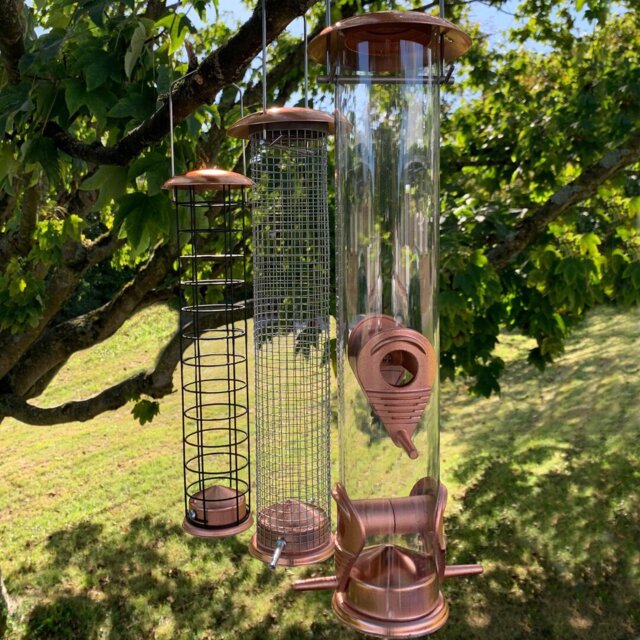 Ginther Hanging Decorative Bird Feeder