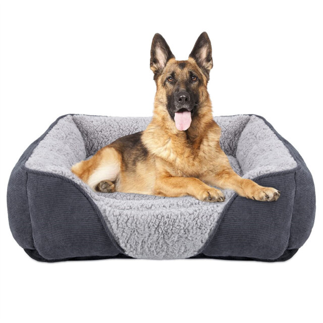 Wayfair Dog Bed Washable Archie Oscar Duffield Pet Bed By Wayfair