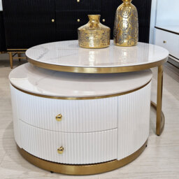 Ayeden Coffee Table with Storage
