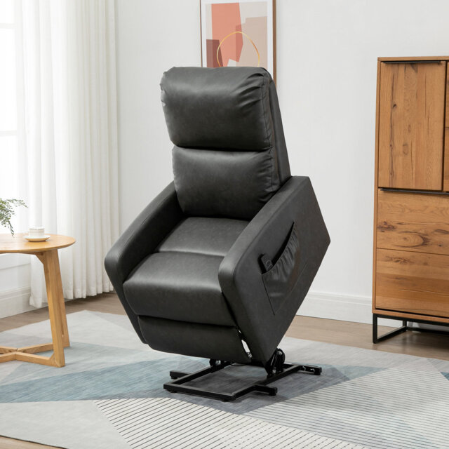 Riser And Recliner Chairs by Wayfair