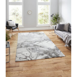 Aspin area rug Machine Woven Rectangle Ivory