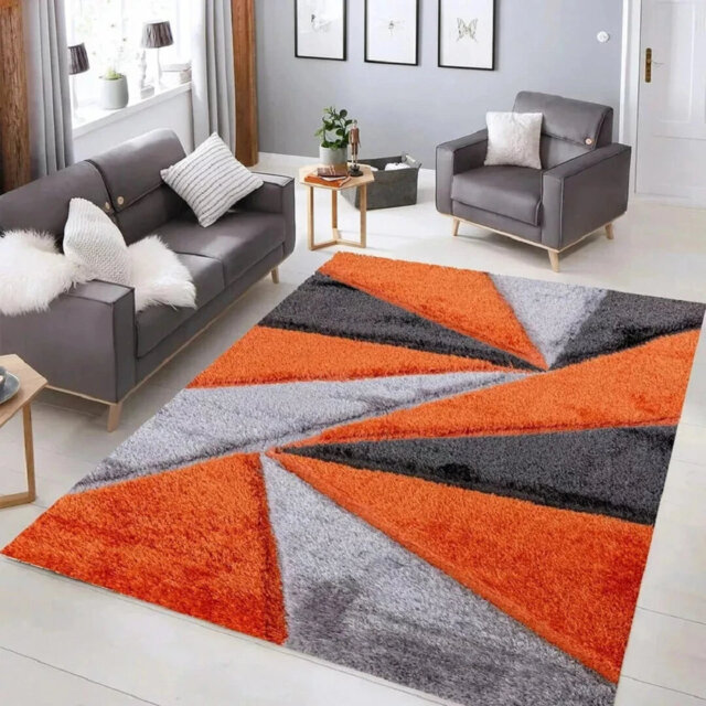 Geometric Indoor / Outdoor Area Rug