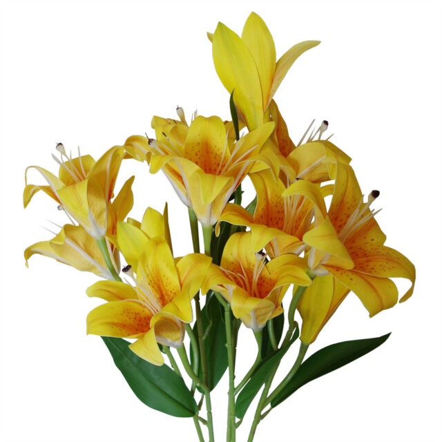 Artificial Arrangement