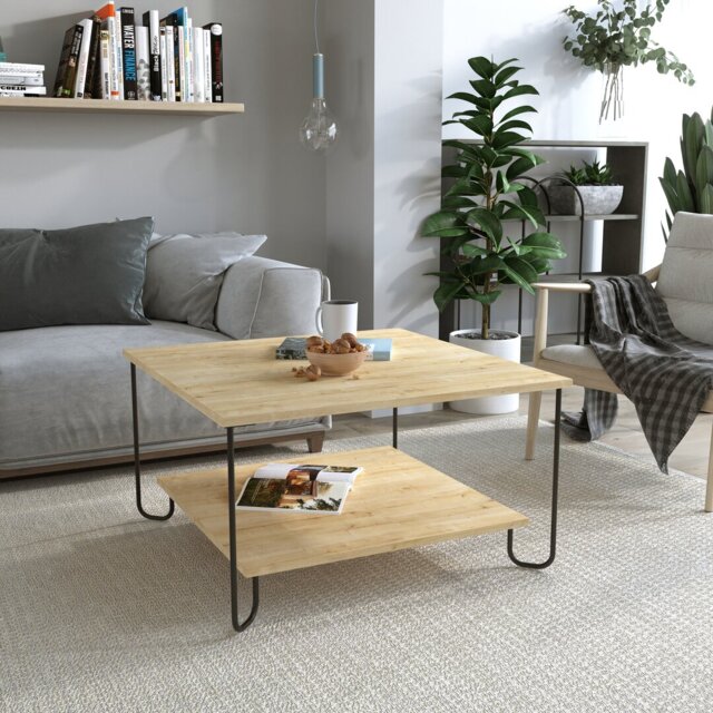 Cristiana Square Coffee Table with Storage - Sleek Design & Durable Metal Legs