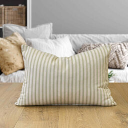 Cushion