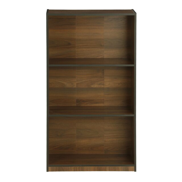 Barhorst 100.3cm H x 55.2cm W Standard Bookcase