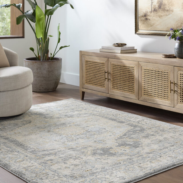 Vintage Beige Gray Blue Traditional Boho High Pile Living Dining Bedroom Rug
