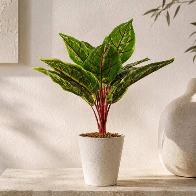 Artificial Potted Foliage Plants 38cm Faux Ficus Plant in Pot Liner
