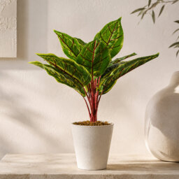 Artificial Potted Foliage Plants 38cm Faux Ficus Plant in Pot Liner