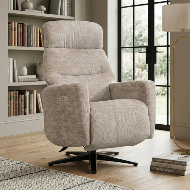 Chandani 68cm Wide Swivel Standard Recliner