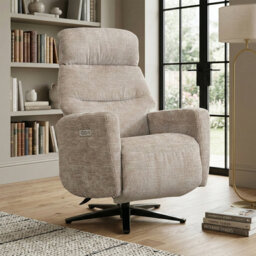 Chandani 68cm Wide Swivel Standard Recliner