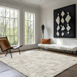 Deep Pile Fluffy Shaggy Area Rug for Indoor/Outdoor Use