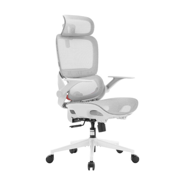 B100 Lite Ergonomic Office Chair - Adaptive Dynamic Lumbar Support, Extra Wide Headrest, Flip-Up Armrests, 90-135° Tilt Lock & Breathable Mesh Desk Ch