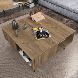 Aidtya Coffee Table with Storage