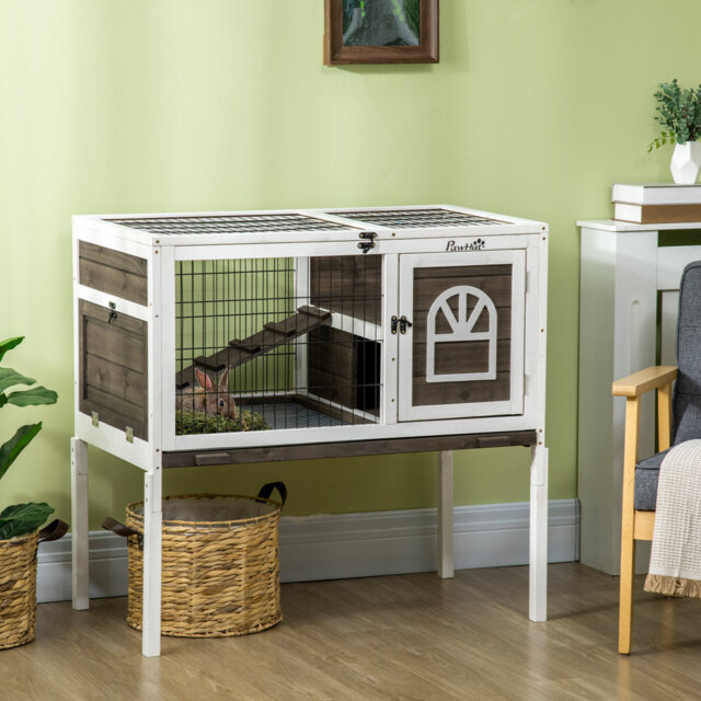 Louis Rabbit Hutch