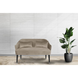 Emi 2 Seater Loveseat