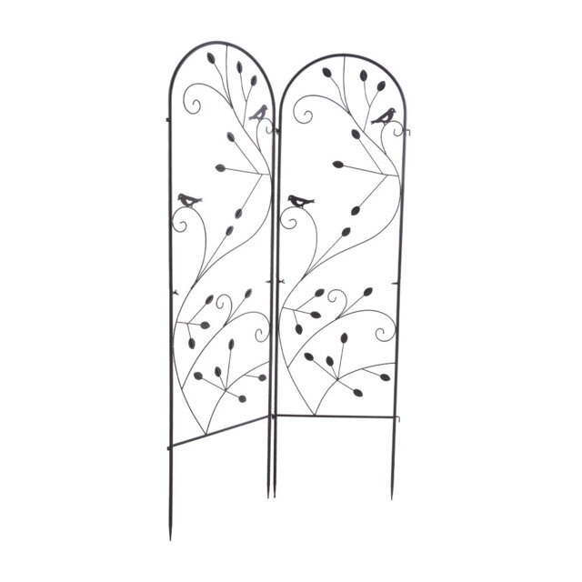 176.5cm H x 50cm W Iron Arched
