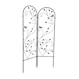 176.5cm H x 50cm W Iron Arched