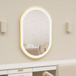 Ashlie Aluminium Oval Wall Mirror