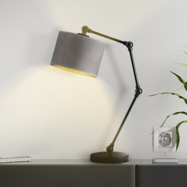 Alirah Adjustable Metal Arched Lamp