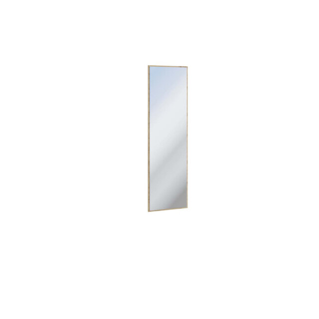 Naresh Rectangle Wall Mirror