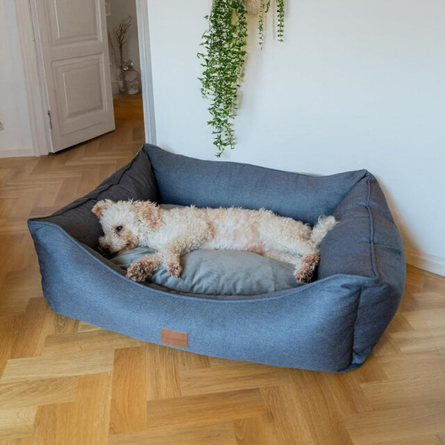 Warm, Velvety Cushion, Machine Washable Dog Bed With Raised Rim - Extra Soft Reversible, Removable Pillow Cushion - Small, Brown