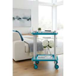 Zeigler Serving Cart
