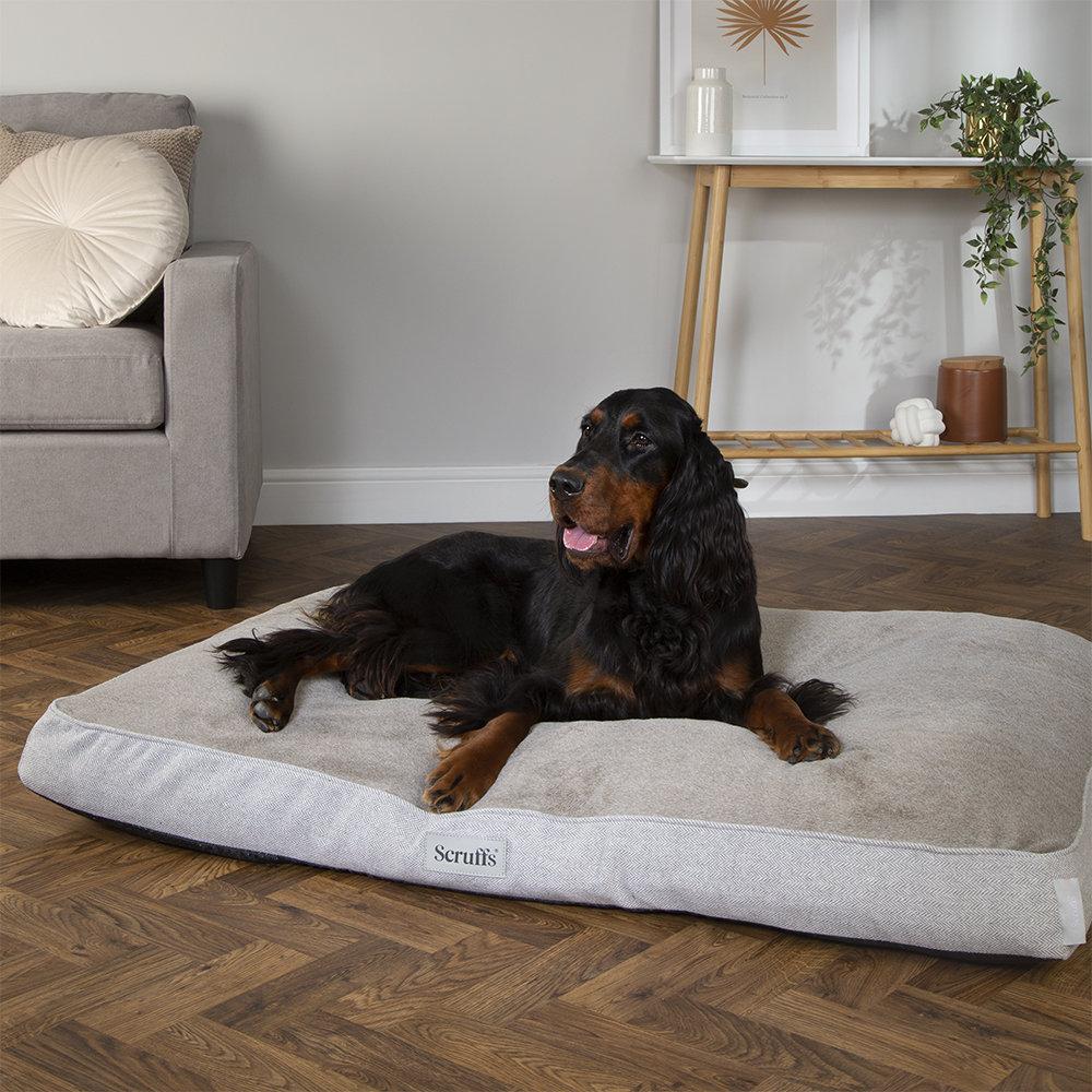 Scruffs Harvard Orthopedic Dog Bed - For Ultra Support & Comfort by Wayfair  | uFurnish.com