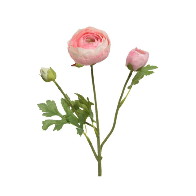 Annemasse Landscape & Nature Vase Filler
