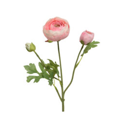 Annemasse Landscape & Nature Vase Filler