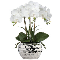 Rowney Arrangement