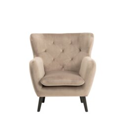 Velvet Armchair