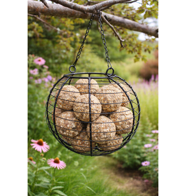 Ethan Metal Hanging Hopper Bird Feeder