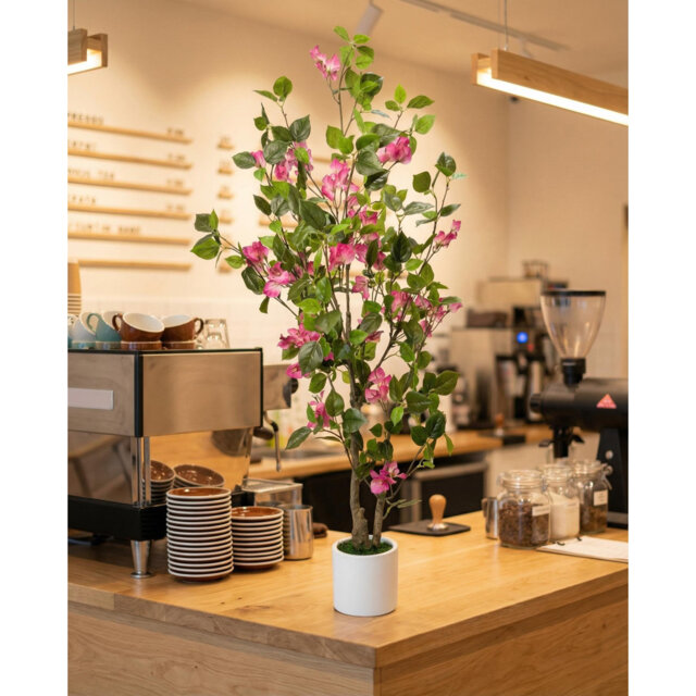 Plant