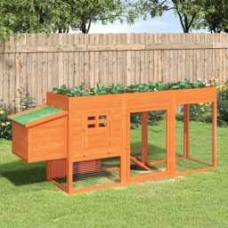 Ila Chicken Coop with Chicken Run