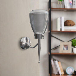 Aletris Glass LED Armed Sconce