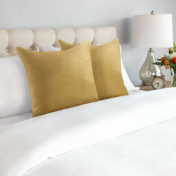 Nalaiyah Square Scatter Cushion Pad