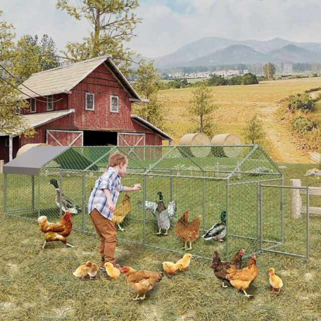 "Large Metal Chicken Coop, 160"" x40"" x40"" Chicken Runs for Yard with Cover, Walk in Poultry Cage with 4 Lockable Doors"