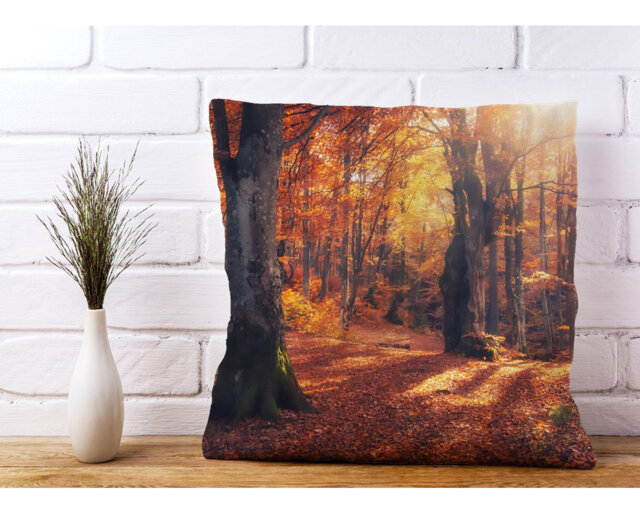 Mateyka Autumn Forest Scatter Cushion with Filling