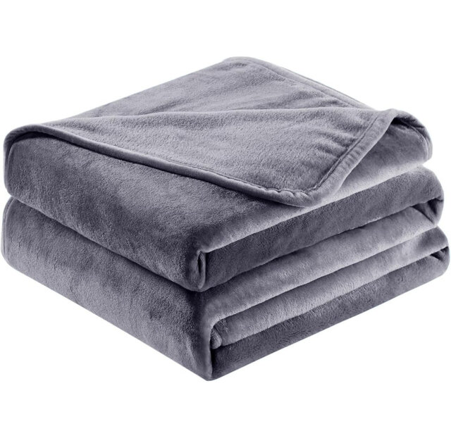 Abiram Plain Weave / Muslin Throw Blanket