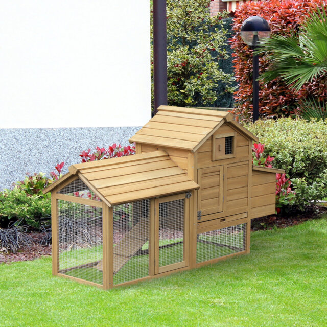 150.5m² Chicken Coop with Chicken Run